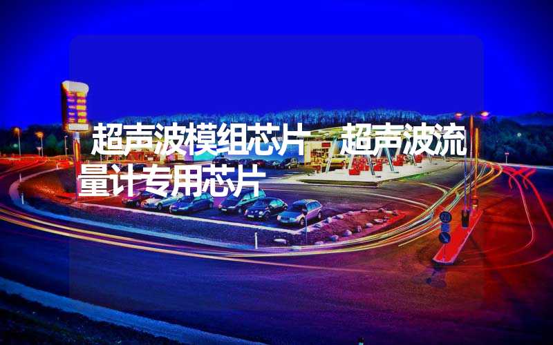 超声波模组芯片 超声波流量计专用芯片